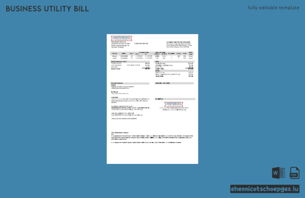 USA Missouri Independence Utilities Geschäftsrechnung Version 2 Beispielvorschau